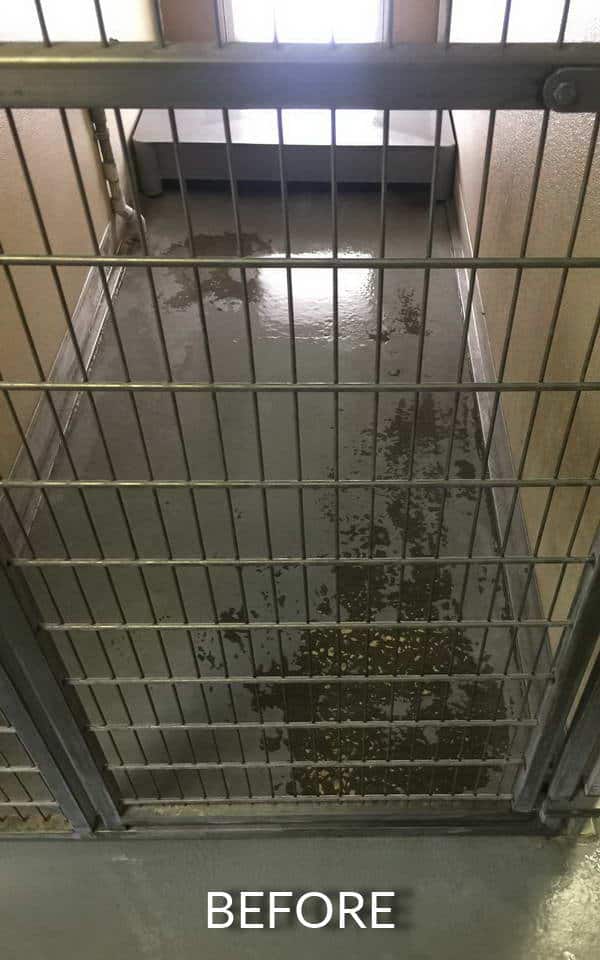 dog kennels floor coating advance industrial coatings