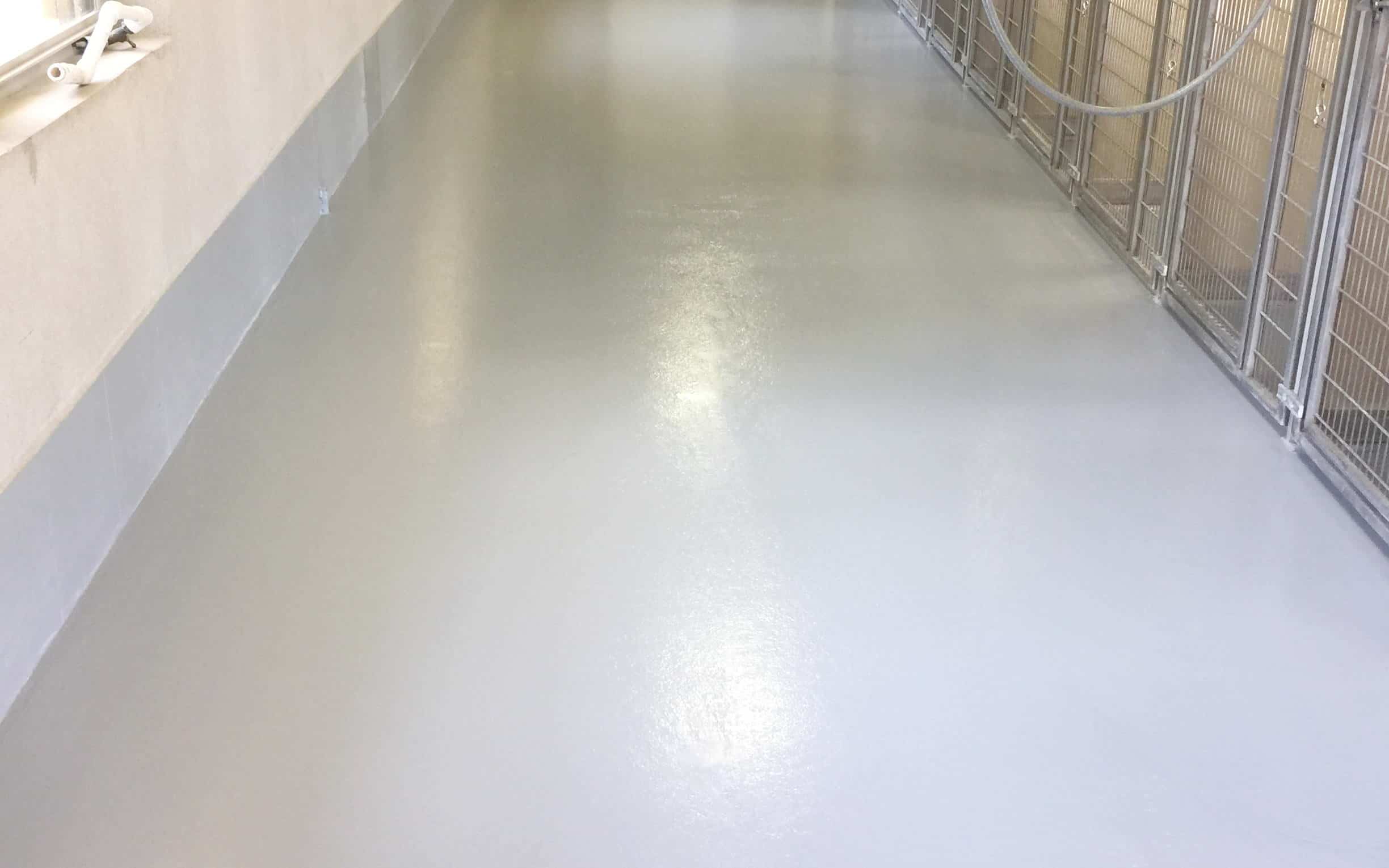 dog kennels floor coating advance industrial coatings